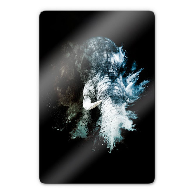 Glasbild Hugonnard – Wild Explosion: Elefant