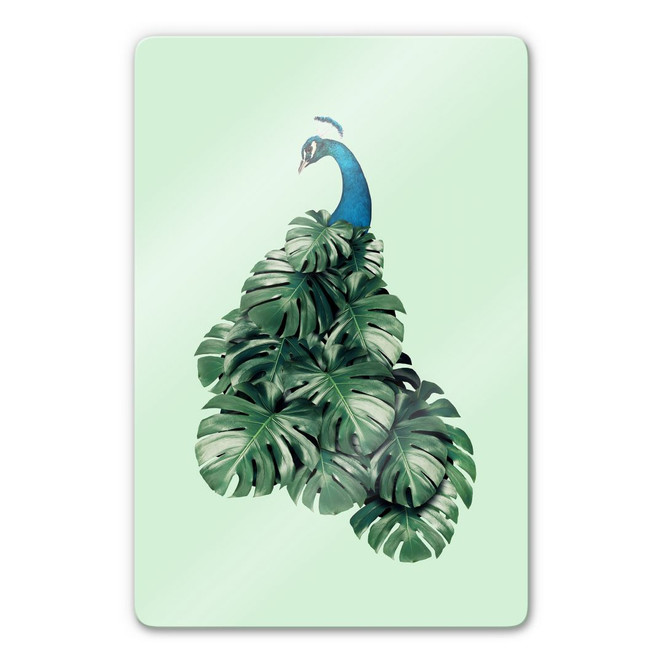 Glasbild Loose - Monstera Bird