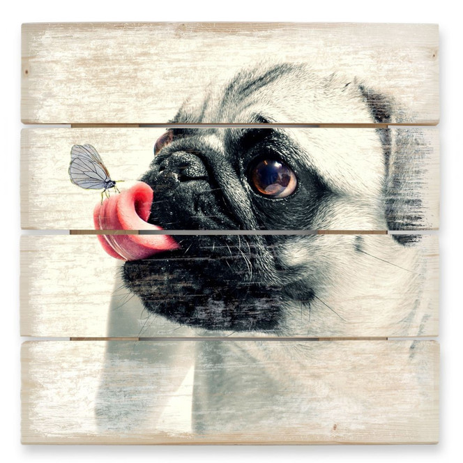 Holzbild Tierische Zuneigung - 40 x 41.5 cm