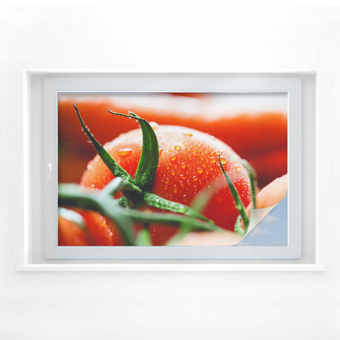Sichtschutzfolie Fresh Tomato