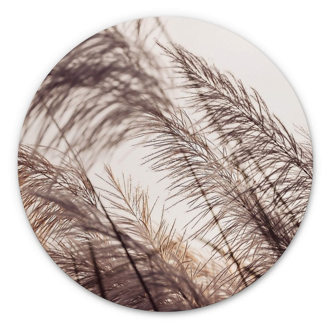 Alu-Dibond Gräser in Pastell - Rund