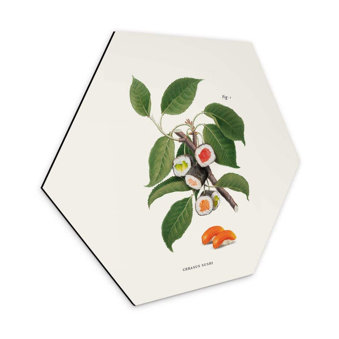 Hexagon - Alu-Dibond Loose - Sushi Pflanze