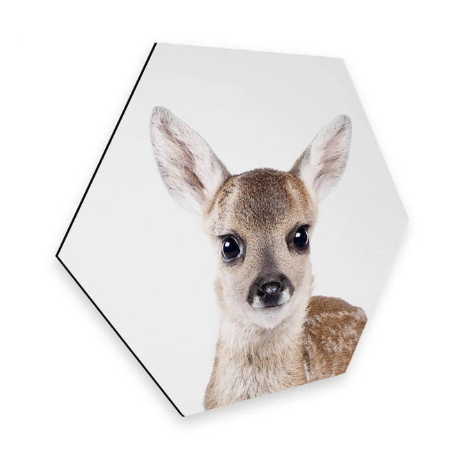 Hexagon - Alu-Dibond Sisi & Seb - Rehkitz
