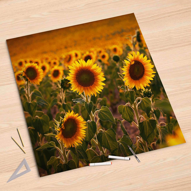 Folienbogen (90x90cm) - Sunflowers- Bild 1