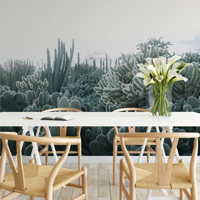 Fototapete Kakteen - 288x260cm - Bild 1