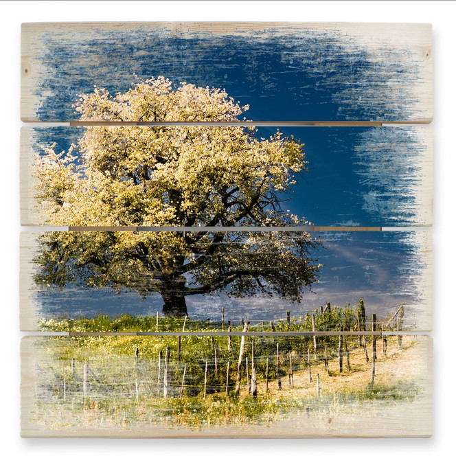 Holzbild Blütenpracht im April - 40 x 41.5 cm