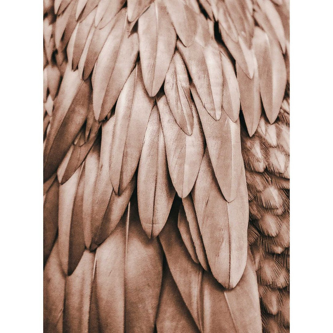 Livingwalls Fototapete ARTist Feathers mit Palmenblättern kupfer, orange - Bild 1