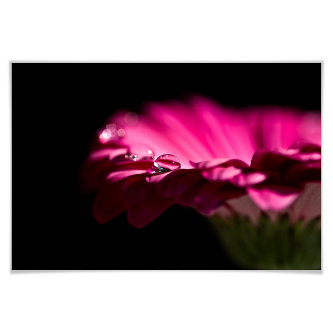 Poster Waterdrop of Life