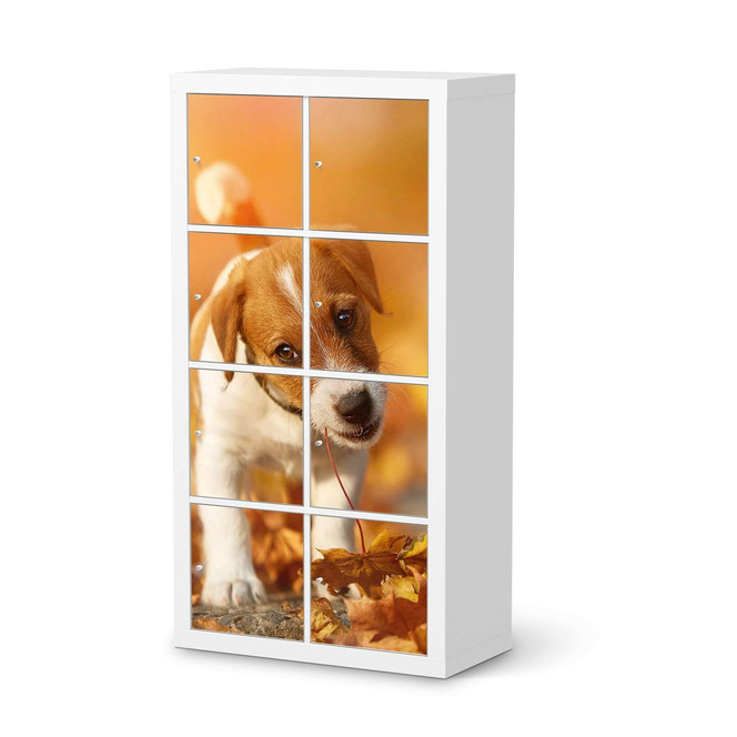Folie IKEA Kallax Regal 8 Türen - Jack the Puppy- Bild 1