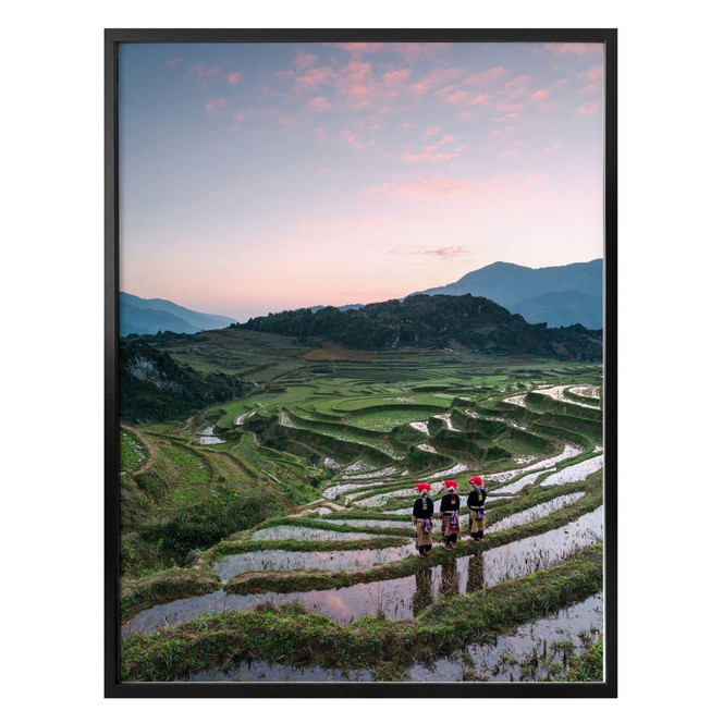 Poster Colombo - Reisterrassen in Vietnam