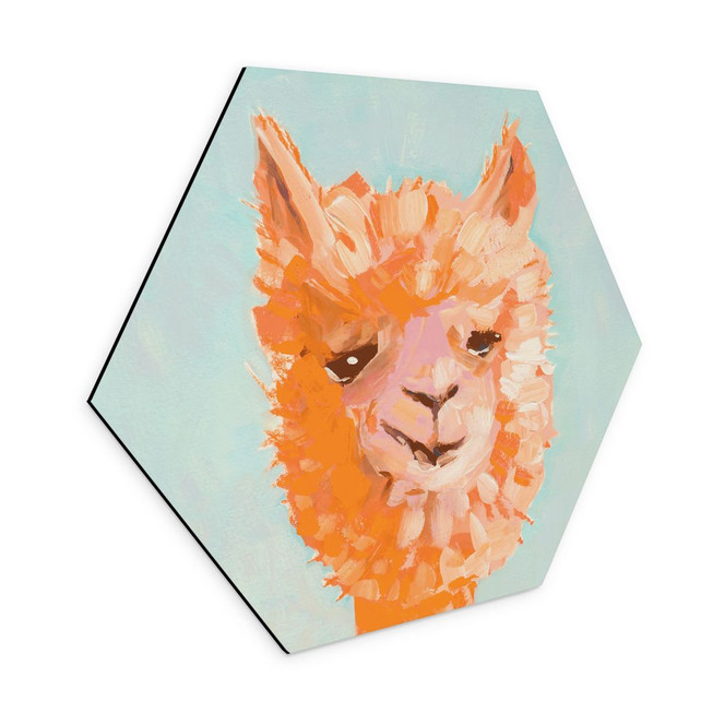 Hexagon Wandbild Oranges Alpaca - Zwara - Alu-Dibond