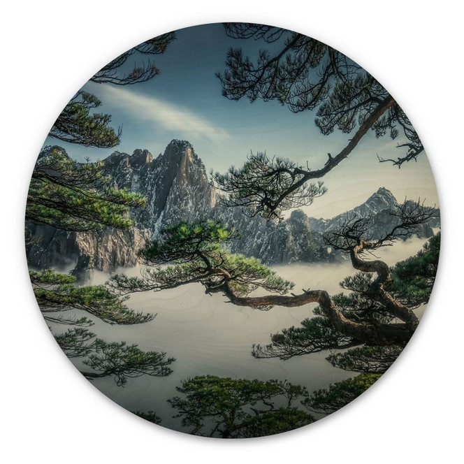 Holzbild Kiefernwald im Huang Shan Gebirge - NingYun Ye - Rund