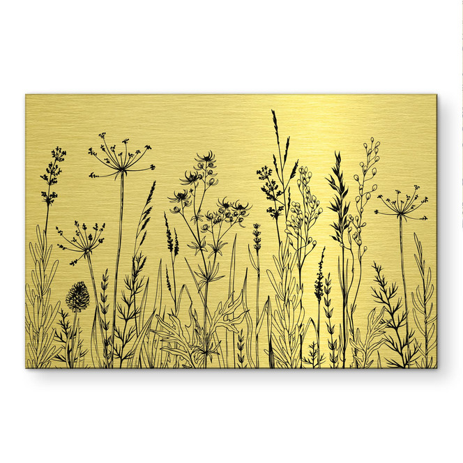 Alu-Dibond gebürstet mit Goldeffekt - Feldblumen Illustration