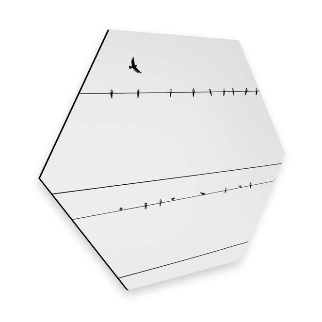 Hexagon - Alu-Dibond - Stromleitung