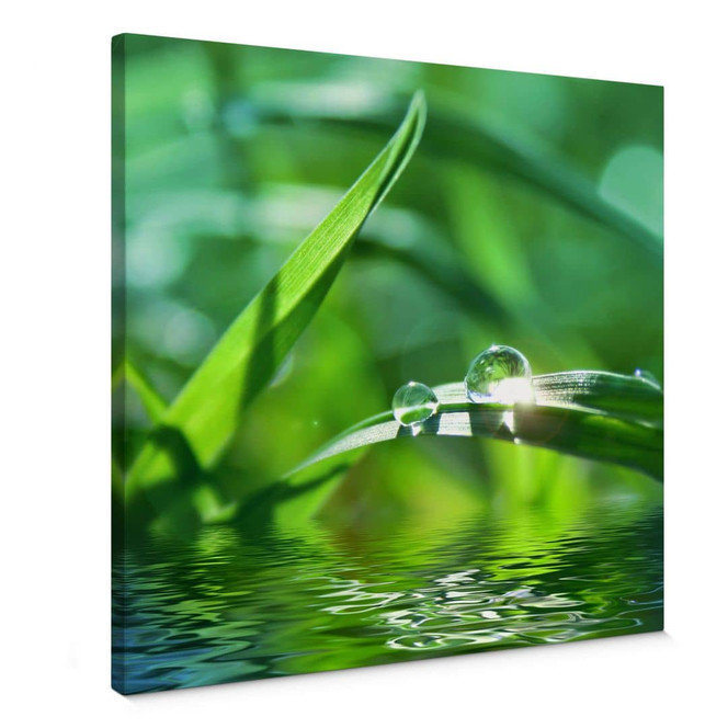 Leinwandbild Natur 6