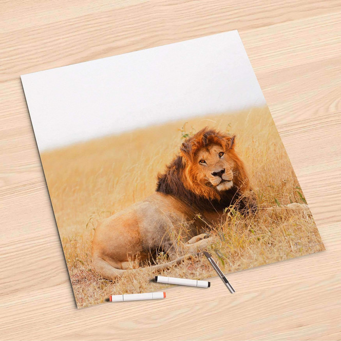 Folienbogen (60x60cm) - Lion King- Bild 1