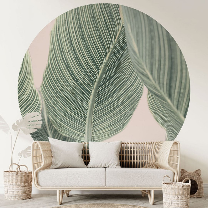 Fototapete Calathea Pflanze - Sisi & Seb - Rund - Selbstklebend/Vlies