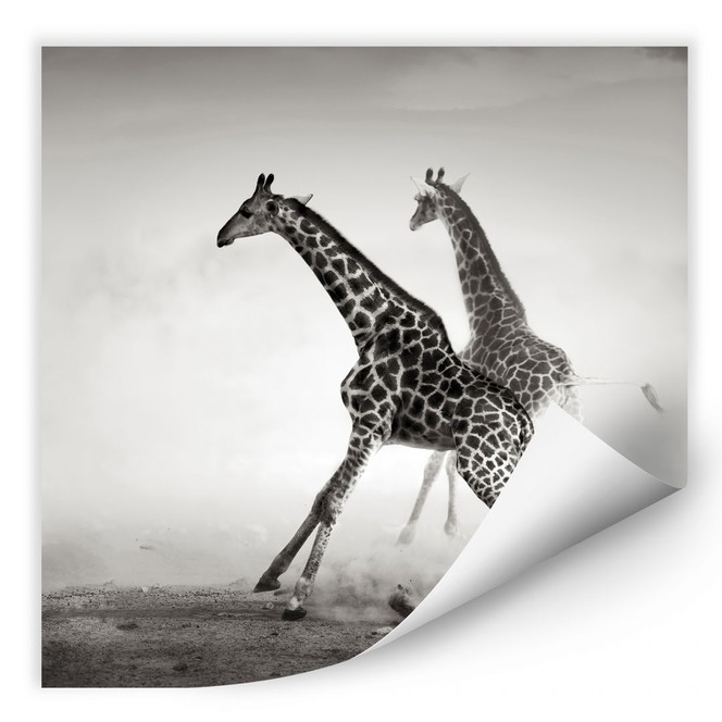 Wallprint Die Flucht