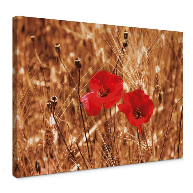 Leinwandbild Mohnblüten im Feld