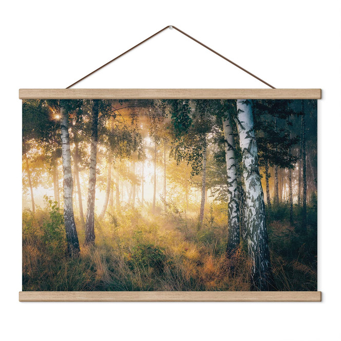 Stoffbild Sonnenschein im Birkenwald - Kado