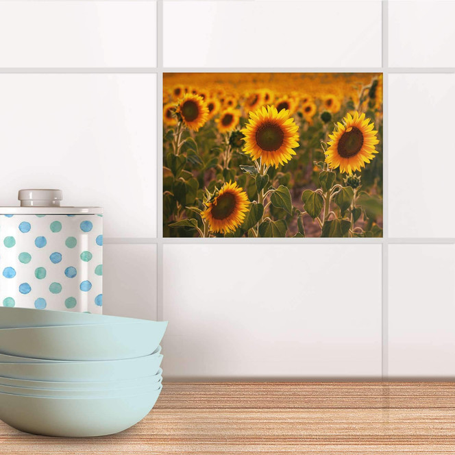 Fliesenfolie - Sunflowers