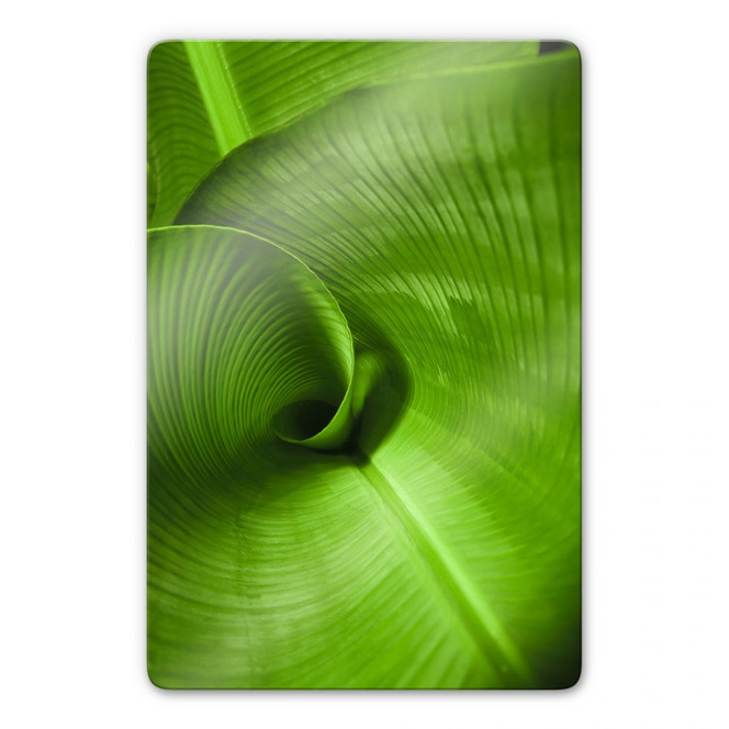 Glasbild Bananenblatt
