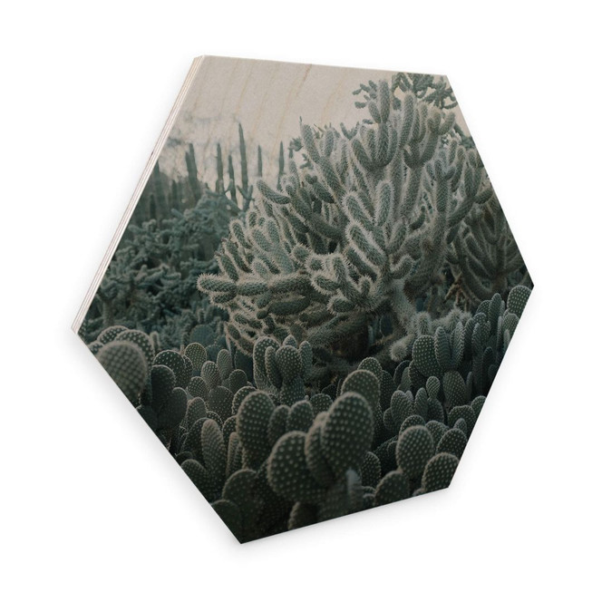 Hexagon - Holz Birke-Furnier - Kakteen