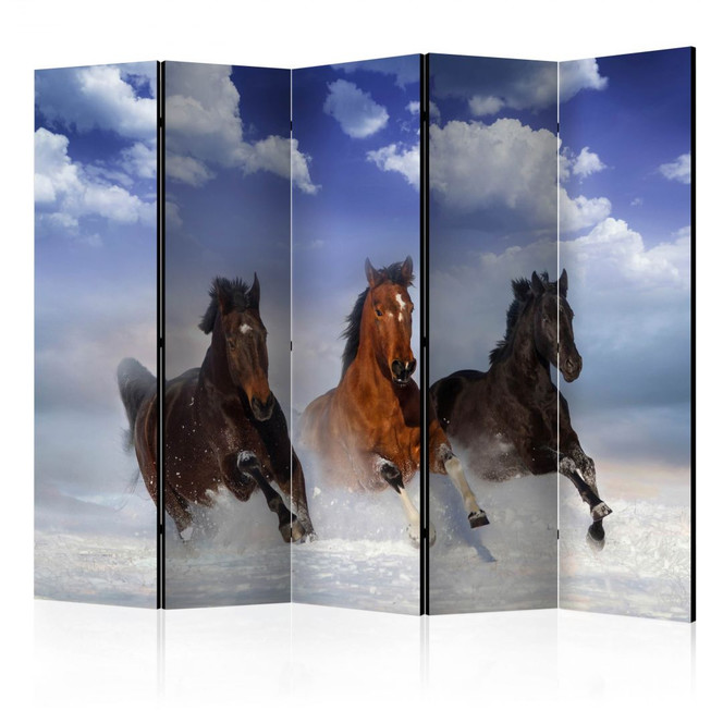 Paravent, Raumteiler freistehend, Trennwand - Galopp im Schnee , 5-teilig - 225 x 172 cm