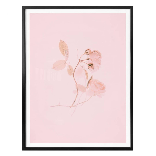 Poster Annie - La vie en rose