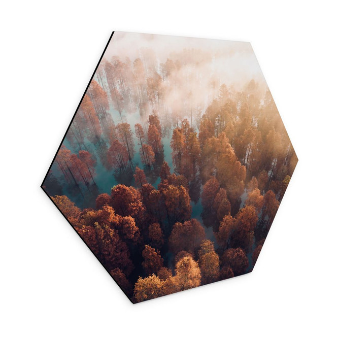 Hexagon Wandbild Herbstwald im Nebel - Ioricon - Alu-Dibond