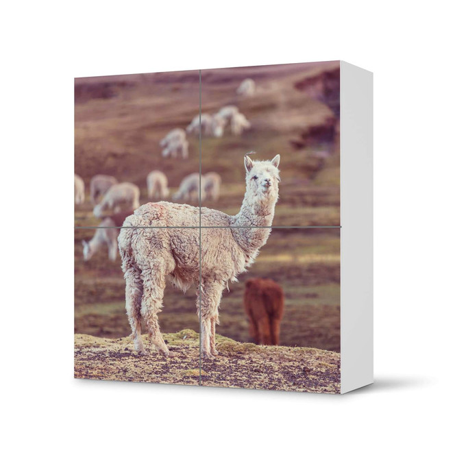 Klebefolie IKEA Besta Schrank 4 Türen - Pako- Bild 1