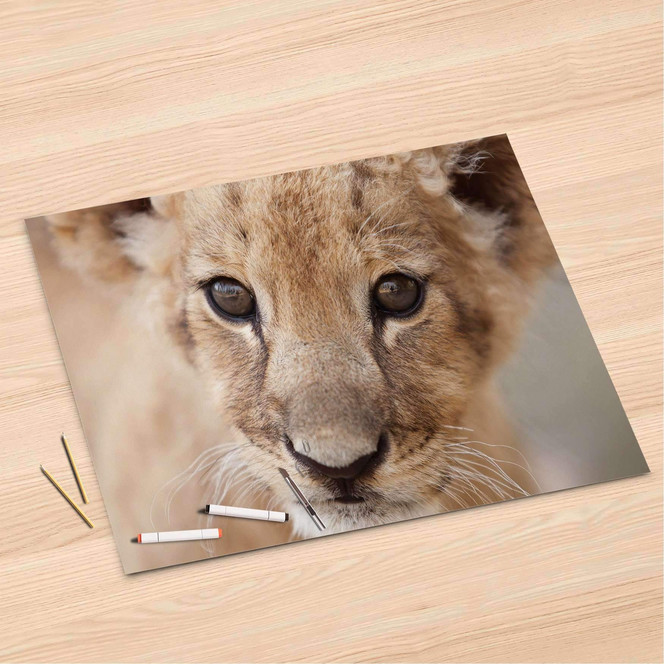 Folienbogen (120x80cm) - Simba- Bild 1