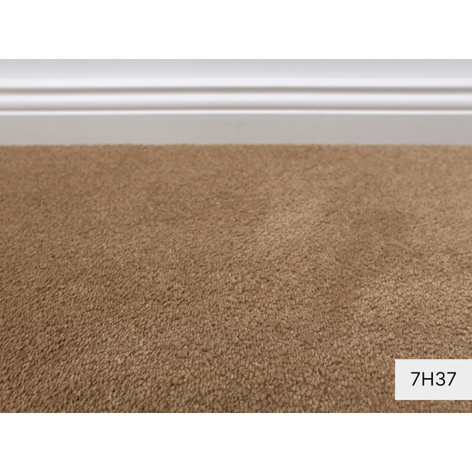 Mira Vorwerk Teppichboden Meterware in 7H37