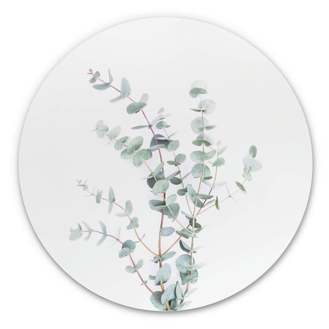 Alu-Dibond Sisi & Seb - Eukalyptuszweig - Rund