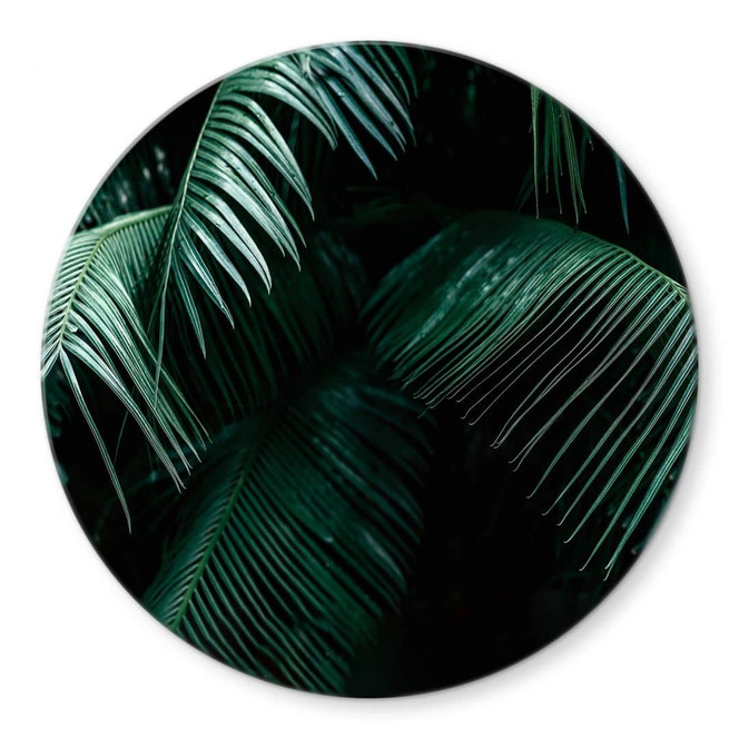 Glasbild Tropische Botanik - Rund