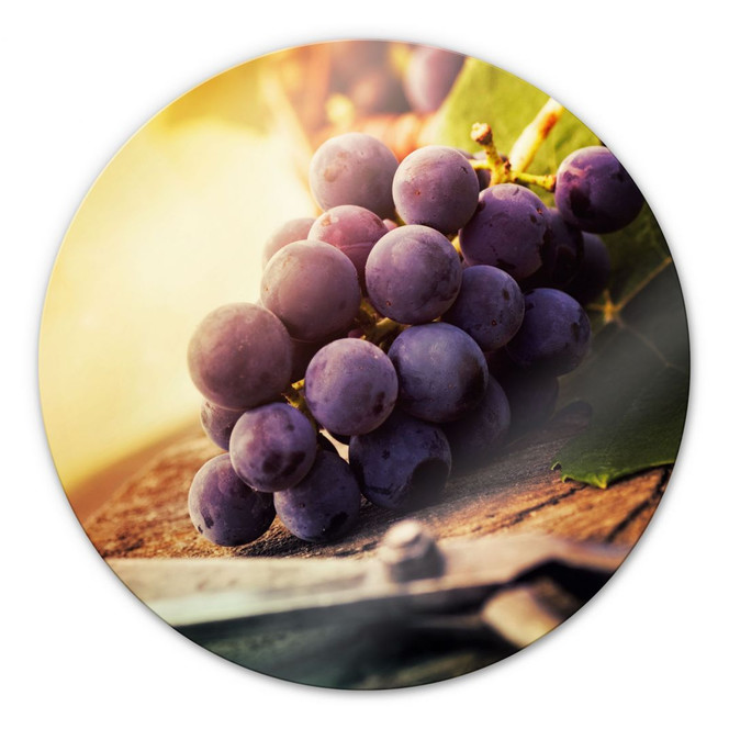 Glasbild Weinlese - rund