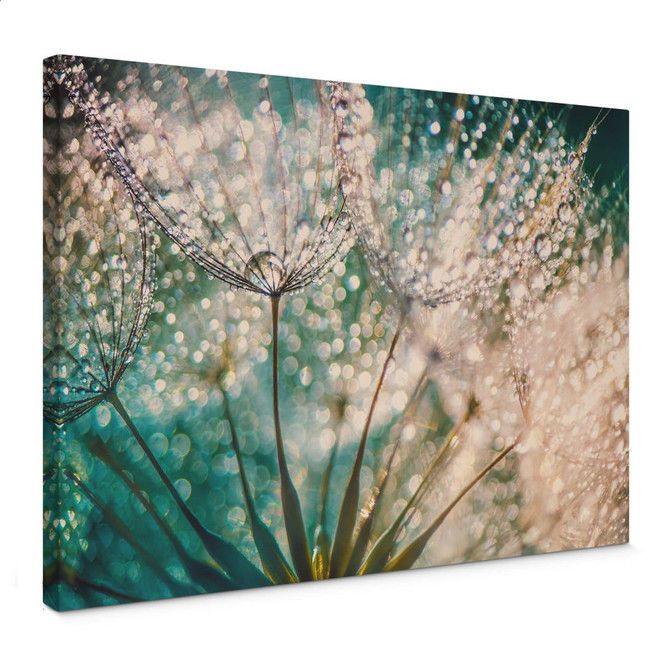 Leinwandbild Delgado - Funkelnde Pusteblume