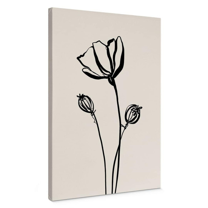 Leinwandbild Line Art Mohnblume - Cats & Dotz