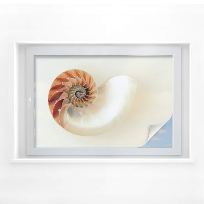 Sichtschutzfolie Nautilus