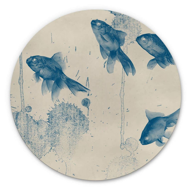 Alu-Dibond Blaue Fische - Rund