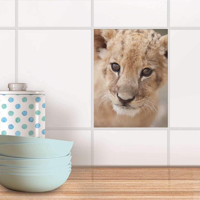 Fliesensticker - Simba