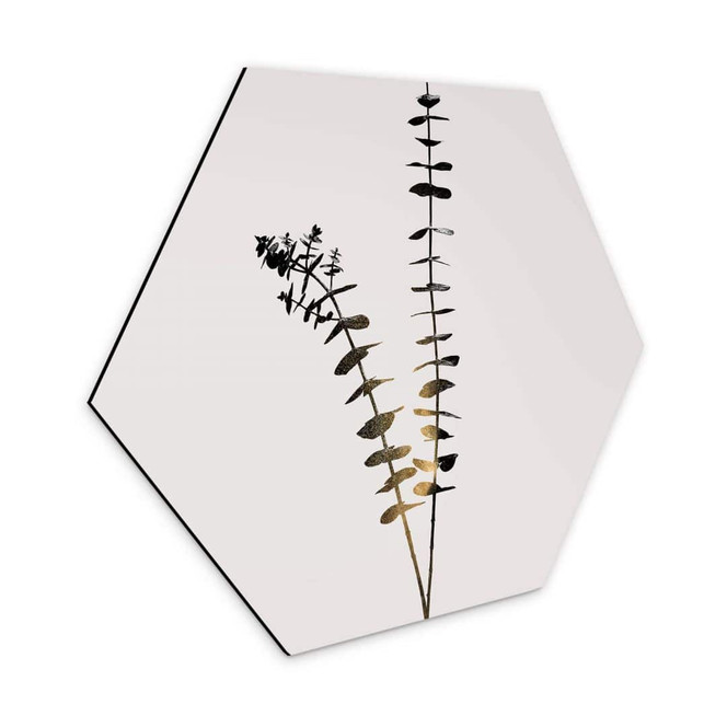 Hexagon - Alu-Dibond Kubistika - Schwarz-Goldener Eukalyptus