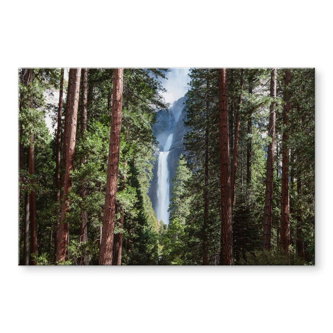 Acrylglasbild Colombo - Wasserfall im Wald