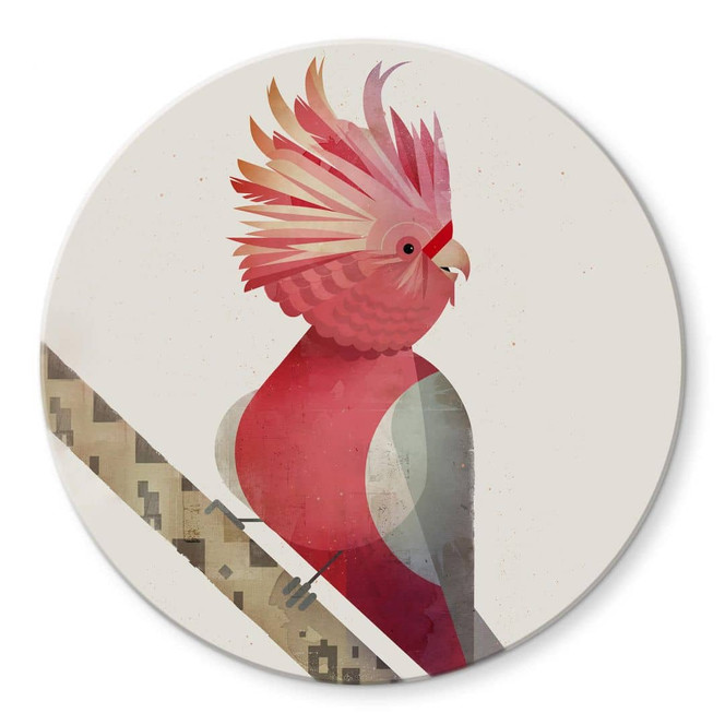 Glasbild Braun - Rosakakadu - Rund