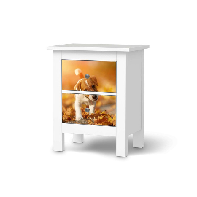 Möbelfolie IKEA Hemnes Kommode 2 Schubladen - Jack the Puppy- Bild 1
