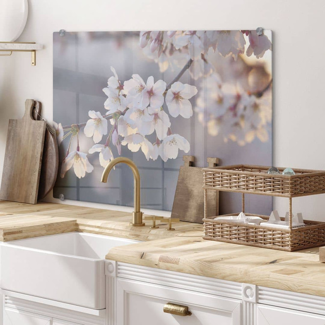 Spritzschutz Kirschblütenzweig