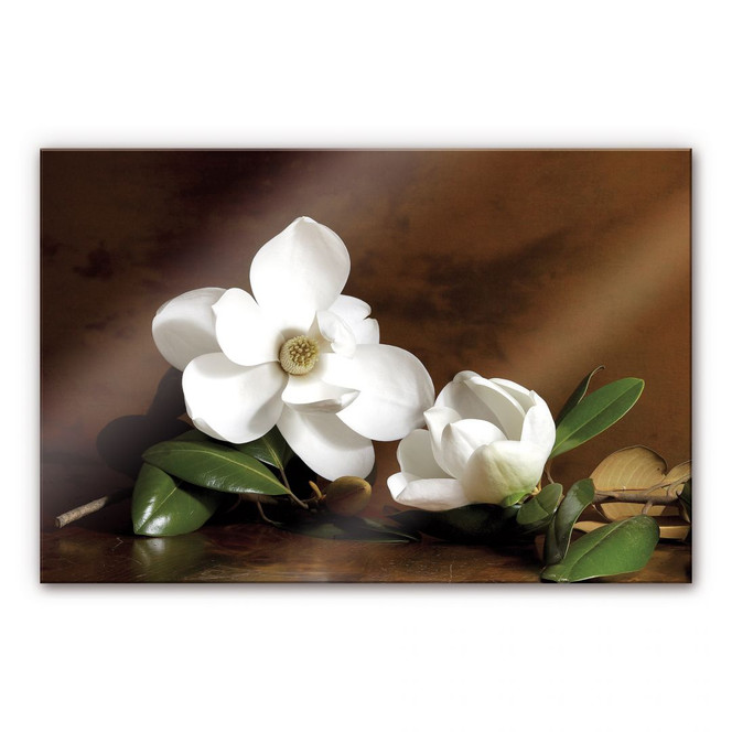 Acrylglasbild Magnolienzweig mit Blättern