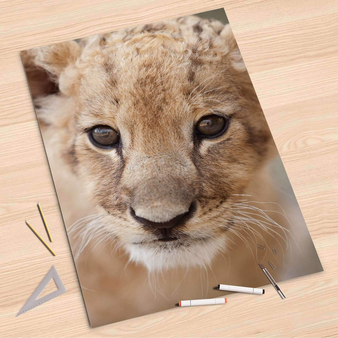 Folienbogen (80x120cm) - Simba- Bild 1