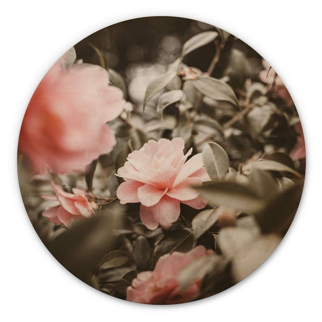 Holzbild Annie - Rosenblüte - Rund