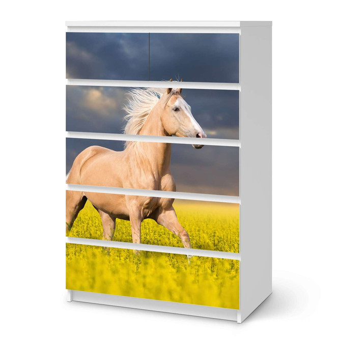 Möbel Klebefolie IKEA Malm Kommode 6 Schubladen (hoch) - Wildpferd- Bild 1